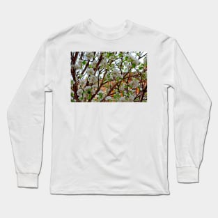 Manitou Springs Blossoms Long Sleeve T-Shirt